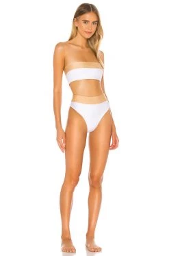 Spring 2020 Foster Top 9 Spring 2020 Foster Top